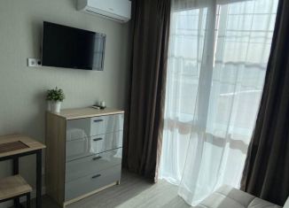 Продается квартира студия, 17.1 м2, Сочи, улица Панфилова, 2