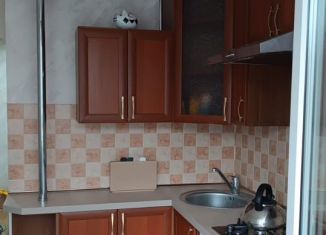 Сдаю 1-комнатную квартиру, 40 м2, Москва, 16-я Парковая улица, 6, район Восточное Измайлово