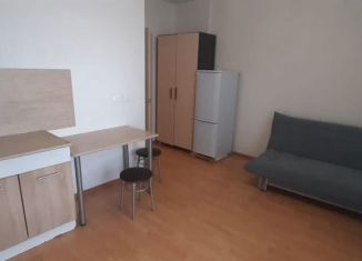 Сдаю в аренду квартиру студию, 24 м2, Екатеринбург, улица 40-летия Комсомола, 32Г