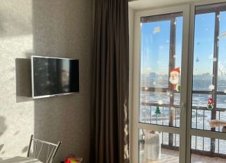 Продается 1-ком. квартира, 37.2 м2, Санкт-Петербург, Дизельный проезд, 11к2, ЖК Две Столицы