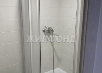 Продаю квартиру студию, 17 м2, Новосибирск, Сухановская улица, 6А