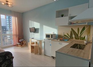 Сдам в аренду квартиру студию, 22 м2, Екатеринбург, улица Зелёный Остров, 14
