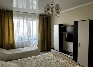 Аренда 1-комнатной квартиры, 42 м2, Вязьма, улица Полины Осипенко