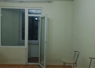 Сдача в аренду квартиры студии, 24 м2, деревня Новое Девяткино, Главная улица, 58