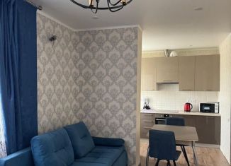 Сдача в аренду двухкомнатной квартиры, 47 м2, поселок городского типа Афипский, улица 50 лет Октября, 46