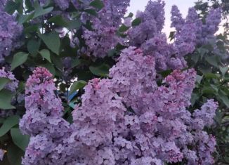 Продается дом, 50 м2, посёлок Кирпичного Завода № 1, Заречная улица