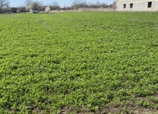 Продается земельный участок, 20 сот., село Радищево, Северная улица, 83