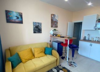 2-комнатная квартира на продажу, 40.7 м2, деревня Раздоры, ЖК Спутник, улица Липовой Рощи, 6к1