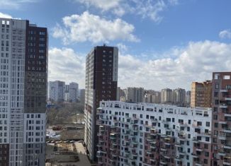 Сдается квартира студия, 34 м2, Москва, микрорайон Эдальго, 3