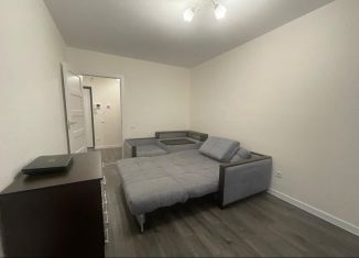 1-ком. квартира в аренду, 35.4 м2, поселок Бугры, Гаражный проезд, 27к2, ЖК Новые Горизонты