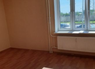 Продам квартиру студию, 25 м2, посёлок Парголово, Толубеевский проезд, 26к1, ЖК Северная Долина