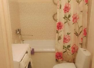 Сдаю квартиру студию, 26.7 м2, Мурино, улица Шувалова, 2, ЖК Мой Город