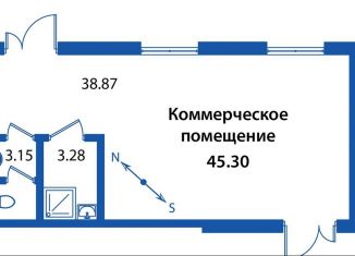 Продам помещение свободного назначения, 45 м2, Санкт-Петербург, муниципальный округ Юнтолово, проспект Авиаконструкторов, 61