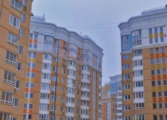 Продается квартира студия, 17 м2, Москва, 6-я Радиальная улица, 3к7, ЖК Царицыно