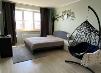 Продажа 1-ком. квартиры, 43.4 м2, деревня Дударева, улица Созидателей, ЖК Комарово