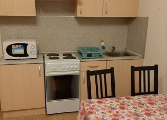 Сдается квартира студия, 29 м2, Мурино, улица Шувалова, ЖК Гринландия