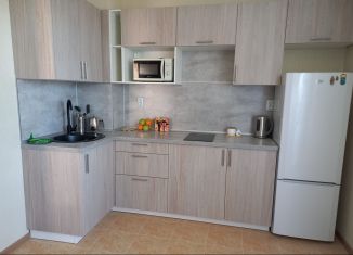 Сдается 2-ком. квартира, 56 м2, Мурино, проспект Авиаторов Балтики, 9к3, ЖК Виктория