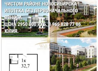 Продается 1-комнатная квартира, 33 м2, Новосибирск, площадь Ленина, Центральный район
