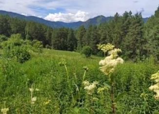 Продажа участка, 690 сот., посёлок Усть-Сема