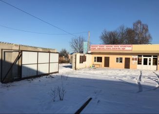 Производство на продажу, 245 м2, село Кочубеевское, Коллективная улица, 31