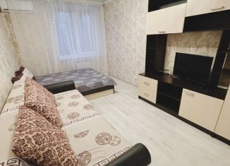 Сдается 1-комнатная квартира, 37 м2, Борисоглебск, Аэродромная улица, 5Б