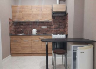 Продаю квартиру студию, 27 м2, Краснодар, Степная улица, 1/1, ЖК Мозаика