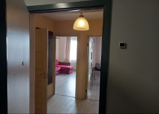 Однокомнатная квартира в аренду, 36 м2, поселок Бугры, Тихая улица, ЖК Новые Горизонты