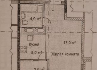 Квартира на продажу студия, 28.6 м2, Нижний Новгород, улица Академика Сахарова, 113к1, ЖК Цветы