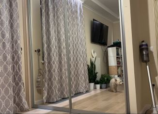 Квартира в аренду студия, 21 м2, Люберцы, жилой комплекс Жулебино Парк, 4.1, ЖК Жулебино Парк