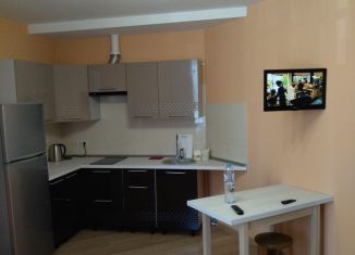 Квартира в аренду студия, 28 м2, посёлок Шушары, Школьная улица, 6к2, ЖК Босфор