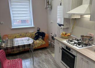 Продам 2-ком. квартиру, 50 м2, поселок Верхнетемерницкий, Лунный переулок, 1к2, ЖК Спутник