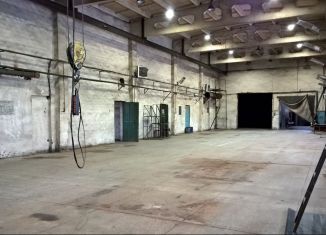 Аренда помещения свободного назначения, 500 м2, село Нижегородка, улица Чапаева, 26с2