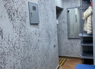 Сдам в аренду трехкомнатную квартиру, 50 м2, Сочи, улица Чайковского, 31, микрорайон Заречный