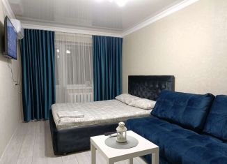 Аренда 1-комнатной квартиры, 35 м2, Кабардино-Балкариия, улица Байсултанова, 25