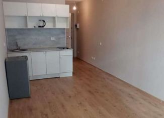 Продаю квартиру студию, 22.1 м2, посёлок Парголово, Толубеевский проезд, 8к2