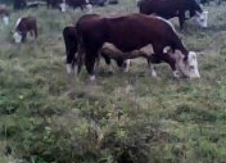 Продажа помещения свободного назначения, 1154.4 м2, поселок Юго-Камский, Советская улица, 1