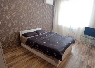 Аренда 1-комнатной квартиры, 40 м2, Ставропольский край, улица Новосёлов, 5А