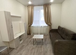 Сдаю в аренду 1-комнатную квартиру, 40 м2, Казань, Енисейская улица, 4А