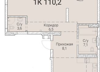 Продаю однокомнатную квартиру, 110.2 м2, Новосибирск, Овражная улица, 2А, метро Заельцовская