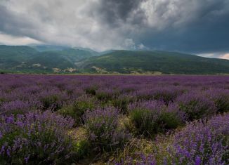 Сдается в аренду дом, 100 м2, село Верхняя Кутузовка, Лесная улица, 27