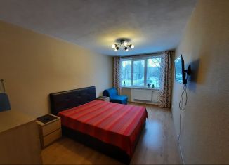 2-комнатная квартира в аренду, 45 м2, Санкт-Петербург, Белградская улица, 28к6, муниципальный округ Купчино