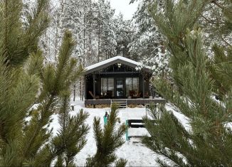 Аренда дома, 80 м2, деревня Красный Огорок, Центральная улица