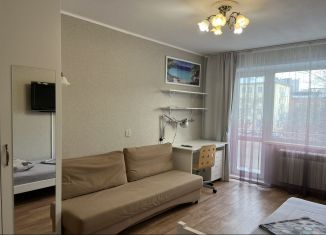 1-комнатная квартира в аренду, 33 м2, Новосибирск, Сибирская улица, 31А, метро Площадь Ленина