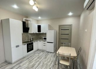 Сдаю однокомнатную квартиру, 45 м2, Ростов-на-Дону, Соборный переулок, 98