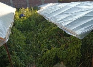 Продается земельный участок, 110 сот., село Тенистое, улица Мичурина