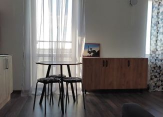 Сдается однокомнатная квартира, 27.5 м2, Екатеринбург, улица Академика Ландау, 47