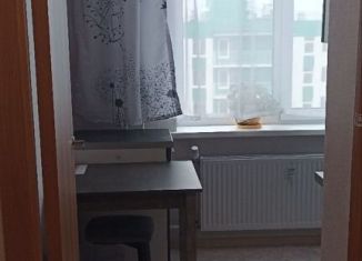 1-комнатная квартира в аренду, 28.1 м2, Ленинградская область, Медведское шоссе, 15к2