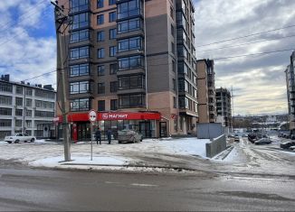 Продажа помещения свободного назначения, 400 м2, Ессентуки, улица Шмидта, 100/2