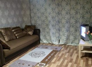 Квартира в аренду студия, 31 м2, Новосибирская область, микрорайон Закаменский, 20