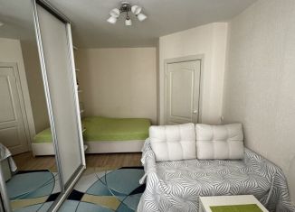 Аренда 1-комнатной квартиры, 33 м2, Нижегородская область, Бурнаковская улица, 101